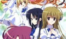 姐恋动漫,跨越年龄的浪漫传奇