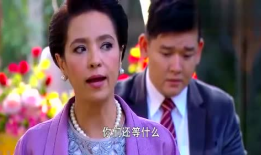 新美人计 电视剧