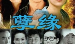 缘电视剧,一段跨越千年的爱恋